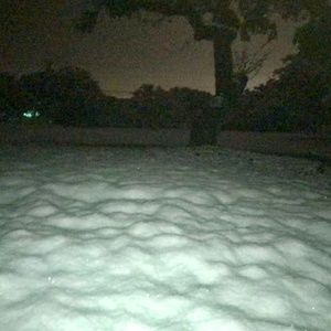 Meet your Posher, Ann